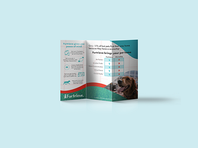 Furtrieve Brochure brochure design information design typography