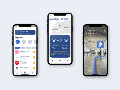 Airport App Concept