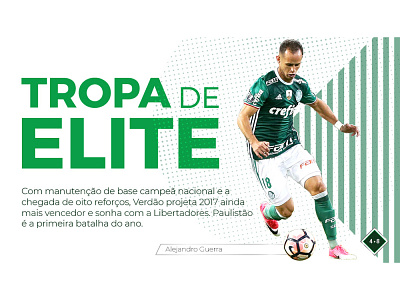 Cover for Digital Magazine _ Palmeiras Football Club