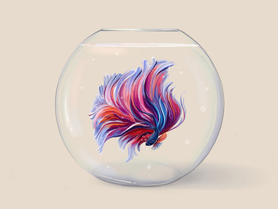 Betta fish