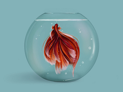 Betta fish bowl colorful design digital digital illustration fish illustration water