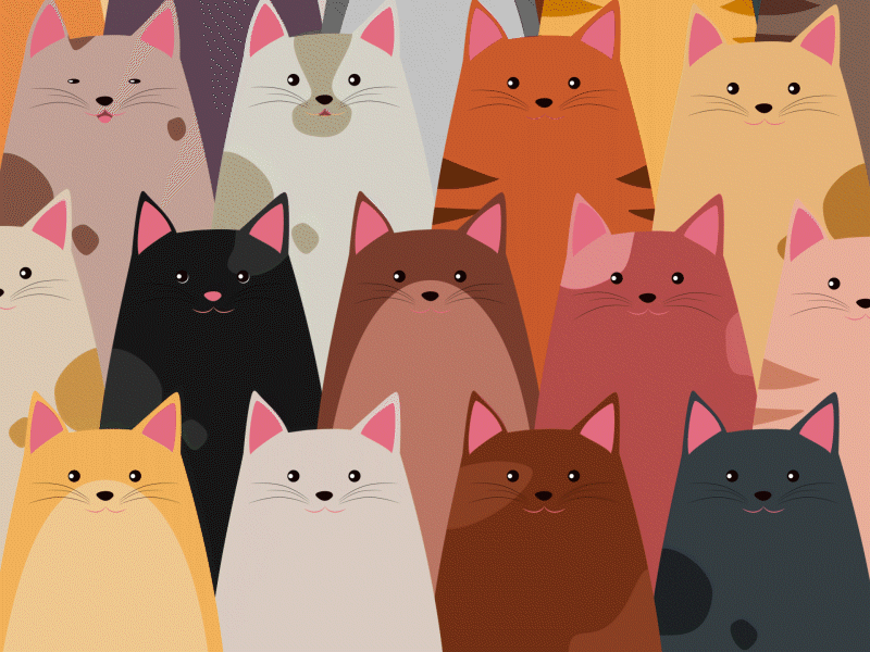 Cats! just perrrrrfect! aftereffects animated cat cats colorful cute design digital digital illustration illustrator motion motion design