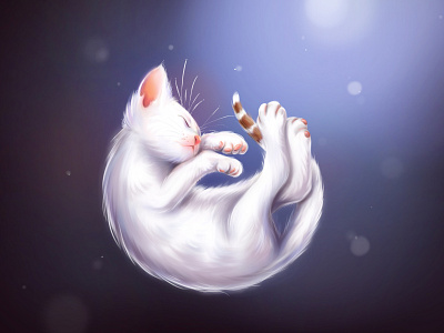 Moon cat illustration art beautiful behance bright cat cat illustration cute design digital digital illustration dribble illustration moon night painting pinterest procreate white