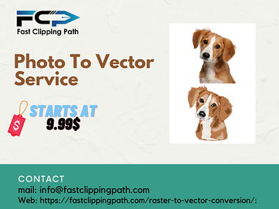 Photo To Vector Service
