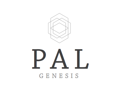 Pal Logo first draft logo
