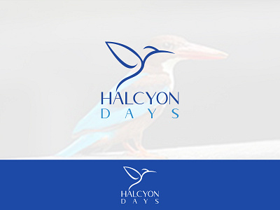 Halcyon Bird Logo Design app logo bird logo bird logo design brand identity creative logo design d logo halcyon bird logo design halcyon logo design icon design logo logo design logo design branding logodesign