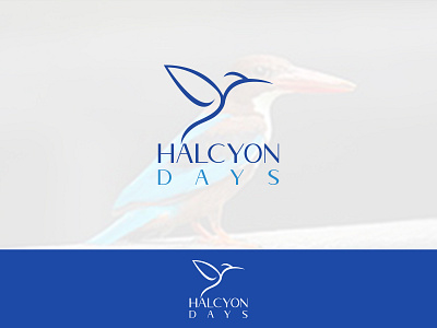 Halcyon Bird Logo Design designs, themes, templates and downloadable ...