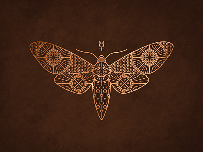 Moth alchemy copper dark eye geometry lines moth symbolism wings