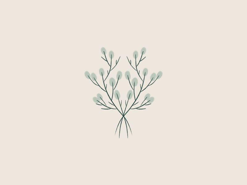 Procreate Symmtrey ipad green leaves handdraw drawing graphic design minimal nature twigs symmetric symmetry botanical procreate