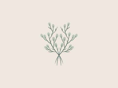 Procreate Symmtrey botanical drawing graphic design green handdraw ipad leaves minimal nature procreate symmetric symmetry twigs