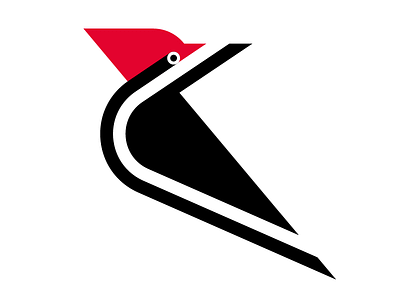Pileated Woodpecker bird black minimal red vector white woodpecker