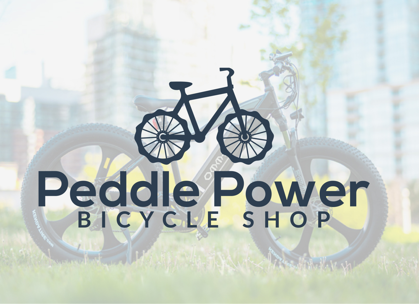 power bike shop