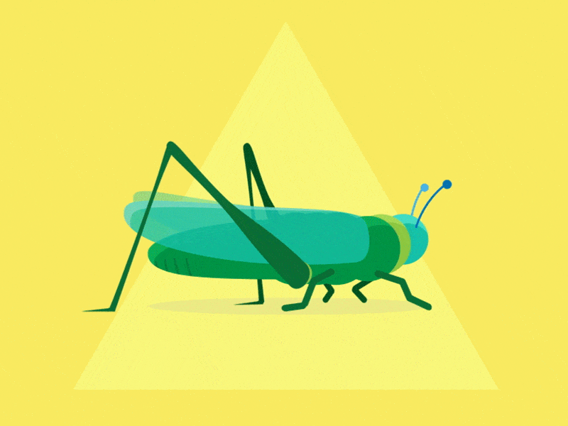 Cael 2d animation bug design grasshopper illustration motion short story vector walk cycle