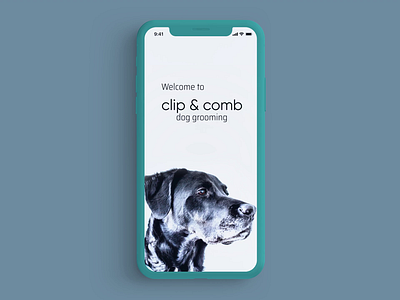 Sing in form for Dog Grooming Servise animated app application appstore authentication dog figma design figmotion grooming ios ios app ios app design minimal mobile mobile app password registration form sing in uiux ux