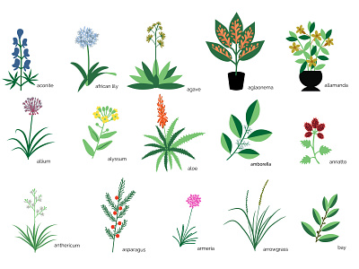 Botanical plants collection