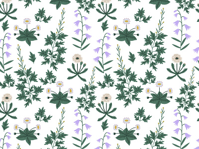 Herbal pattern dandelion decorative design field floral floral pattern flower illustration nature pattern seamless vector wormwood