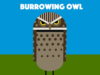 Burrowing owl birds illustration owl