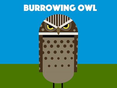 Burrowing owl