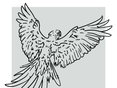 WIP - Parrot Ditching Quarantine bird flying illustration linework outline parrot vector wip