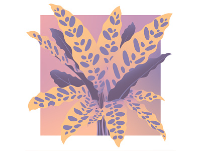 Rattlesnake Sherbert clean flower flowers illustration plants purple purple gradient vector