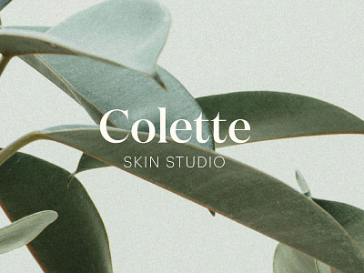 Colette Skin Studio Website graphic design skin care brand skin care studio skin care web design skin care website web design web design and development webdesign website website design websites