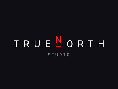 True North Studio Logo animation brand branding design graphic design logo logo animation logodesign logotype typography