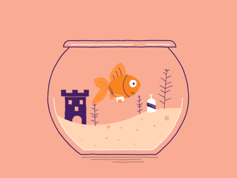 Excuse #5 I'm giving my goldfish a bath animation bath bubbles goldfish illustration motion water