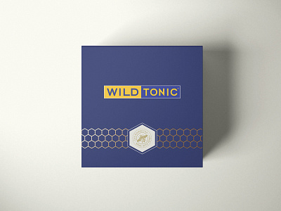 Wild Tonic Direct Mailer branding design direct mail graphic design kombucha kombucha packaging modern package design package mockup packaging product design wild tonic