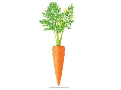 Carrot carrot icon illustration vegetable