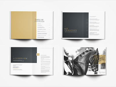 Wealth Management Booklet black and gold booklet booklet design clean design design graphic design horses layout layout design modern typography