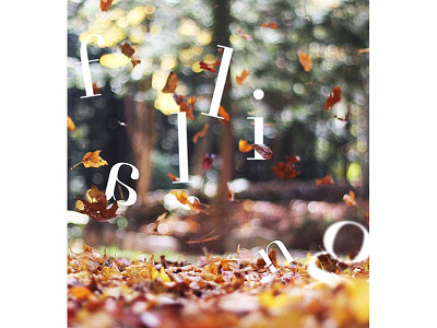F A L L I N G abstract expressive fall photography serif text type type and image leaves