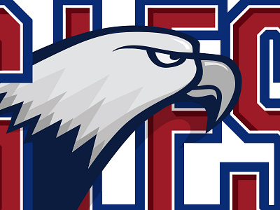 School Logo branding custom eagle sports sports logo