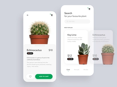 Plants alchemy cacti cactus design plants ui ui design uiux