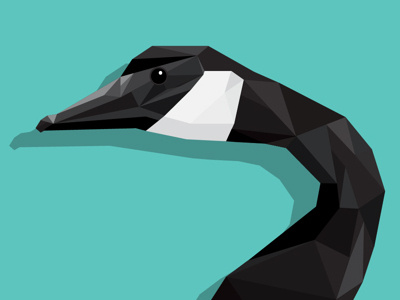 Canada Goose illustration illustrator nature vector wildlife