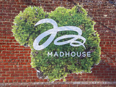 Madhouse Exterior Wall Signage