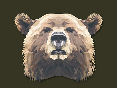 Low Poly Art bEAR bear design flat illustration low lowpoly lowpolyart vector