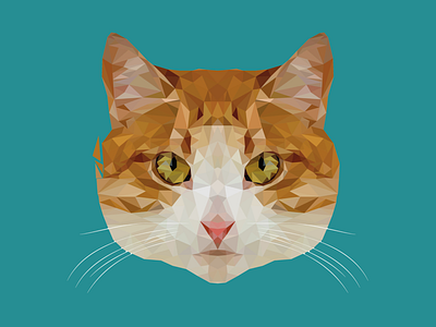 Low Poly Art Cat cat cats design flat illustration low lowpoly lowpolyart summer summertime vector