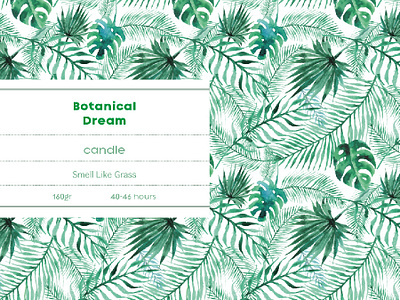 Botanical Dream Design Branding adobe art artist brand design branding branding agency branding concept branding design design design art designer designs green illustration inspiration inspirations pattern summer summertime vector