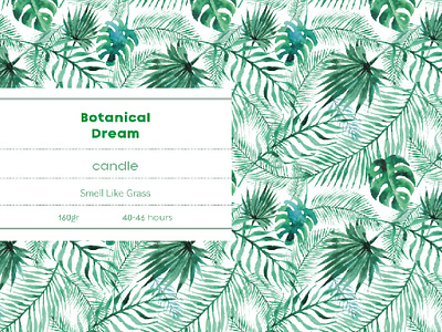 Botanical Dream Design Branding