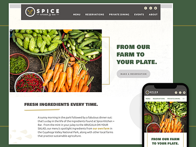 Spice Kitchen & Bar Website Concept design typography ui ux vector web website