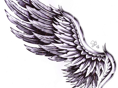 Wing design illustration