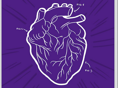 Heart Part anatomy heart purple university westernu work