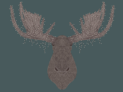 Twinkle light Moose animal graphic design illustration illustration art