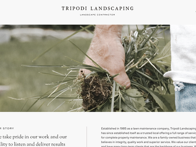 Tripodi Landscaping branding classic design graphic design landscape landscaping logo logo design outdoors photography simple design sophisticated typography ux web website design