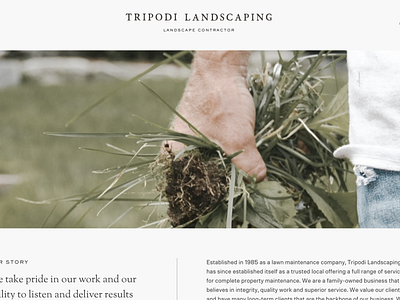 Tripodi Landscaping