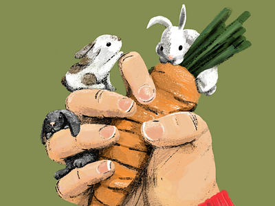 A carrot in the rabbits