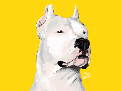 Dogo Argentino art cartoon character design design digital art digital illustration illustration illustration art