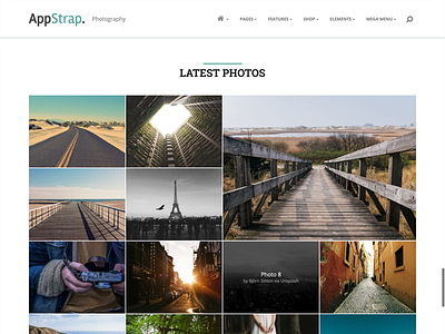 Appstrap Photographer Homepage