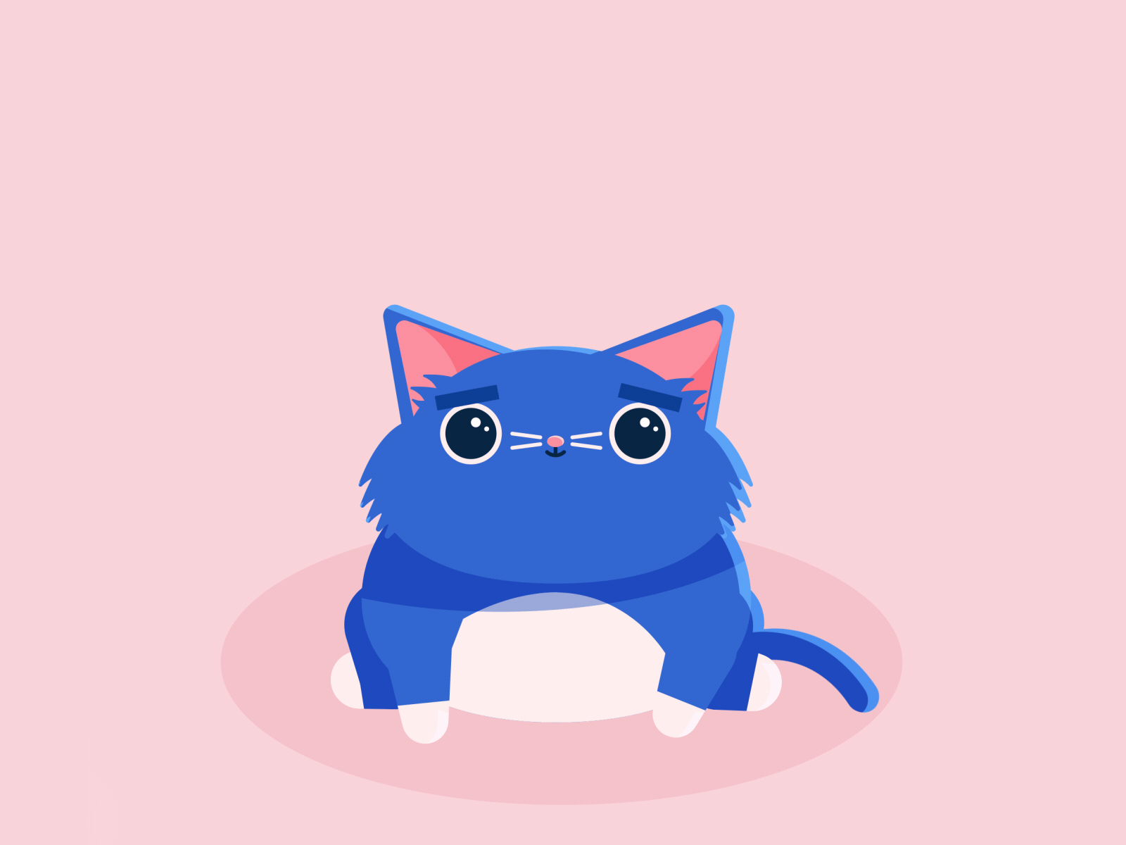 Happy International Cat Day! 2d ae animation cat character gif illustration loop motion design motion graphics vector