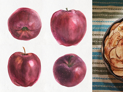 Four Red Apples botanical botanical illustration food food illustration fruit illustration nature realism watercolor